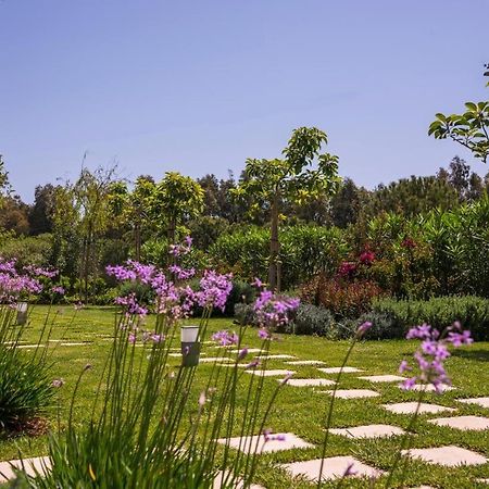 Mear Holiday Homes - Cretan Summer Getaways Κουντούρα Σελίνου Εξωτερικό φωτογραφία